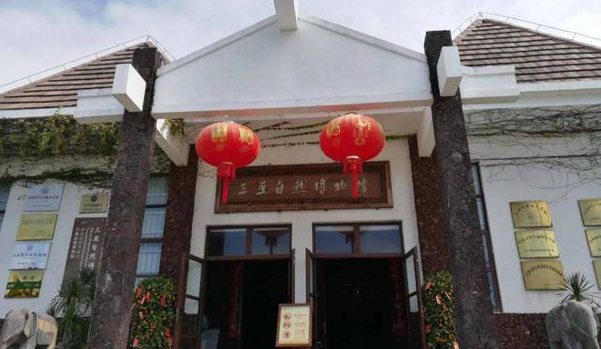 物馆开始解锁千年文化的现代密码！新葡京博彩走进海南了解海南从博(图9)