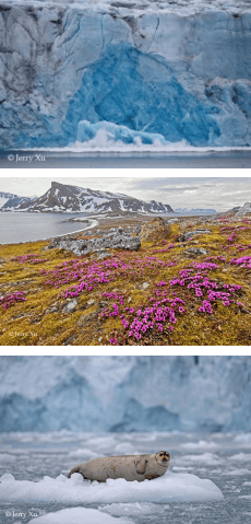 船包船环岛航程(2025720-2586)新葡京再次扬帆圆梦北极 北极斯瓦尔巴群岛帆(图34) 船包船环岛航程(2025720-2586)新葡京再次扬帆圆梦北极 北极斯瓦尔巴群岛帆(图34)