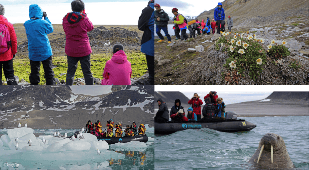 船包船环岛航程(2025720-2586)新葡京再次扬帆圆梦北极 北极斯瓦尔巴群岛帆(图4) 船包船环岛航程(2025720-2586)新葡京再次扬帆圆梦北极 北极斯瓦尔巴群岛帆(图4)