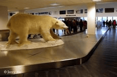 船包船环岛航程(2025720-2586)新葡京再次扬帆圆梦北极 北极斯瓦尔巴群岛帆(图10) 船包船环岛航程(2025720-2586)新葡京再次扬帆圆梦北极 北极斯瓦尔巴群岛帆(图10)