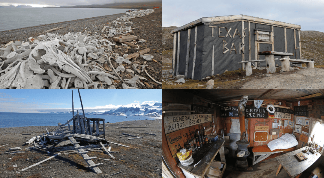 船包船环岛航程(2025720-2586)新葡京再次扬帆圆梦北极 北极斯瓦尔巴群岛帆(图12) 船包船环岛航程(2025720-2586)新葡京再次扬帆圆梦北极 北极斯瓦尔巴群岛帆(图12)